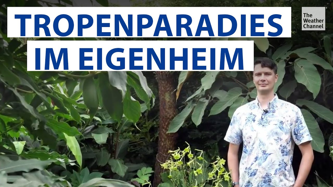 Hobbyg&auml;rtner verwandelt Garten in Dschungel