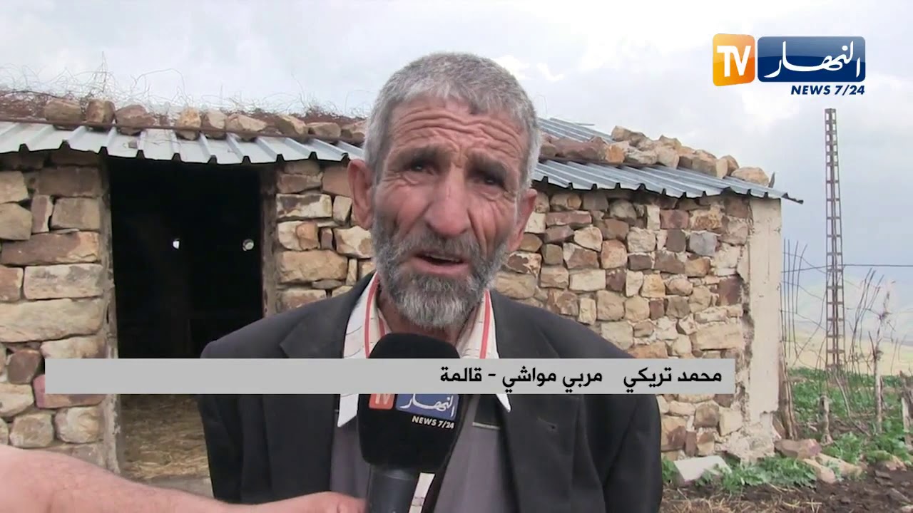 قالمة: عصابات تخدر الموالين لتستولي على مواشيهم بطريقة غادرة