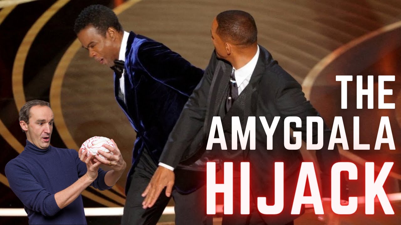 Why we turn into raging idiots | The Amygdala Hijack explained