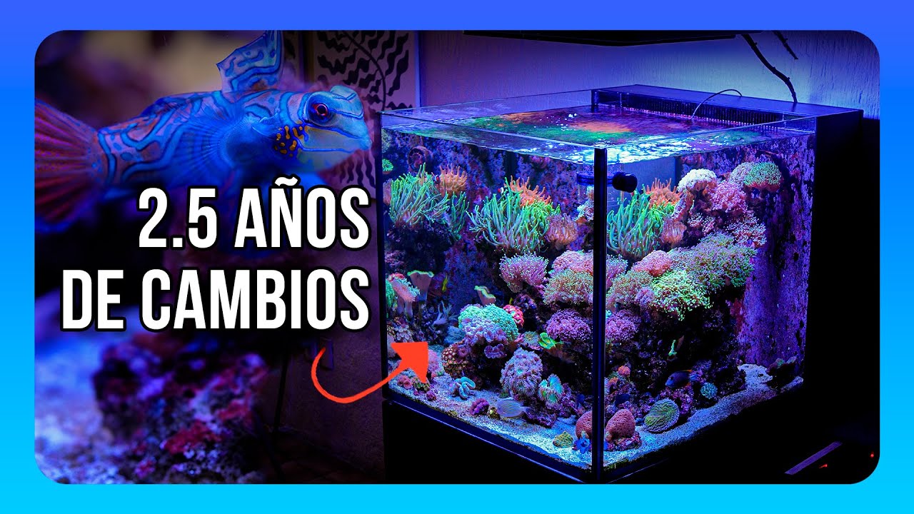 Puede que sea la ULTIMA vez que vemos este tanque. TANQUE TOUR EP. 32.2 /Arturo Zermeño | OSO REEF
