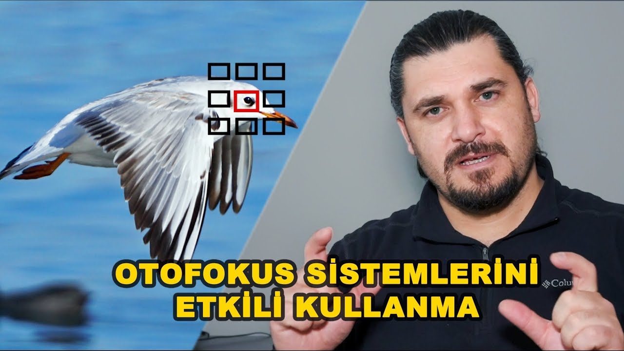 Otofokus sistemi (AF) Daha Etkili Nasıl Kullanılır? How to Use the Autofocus System?
