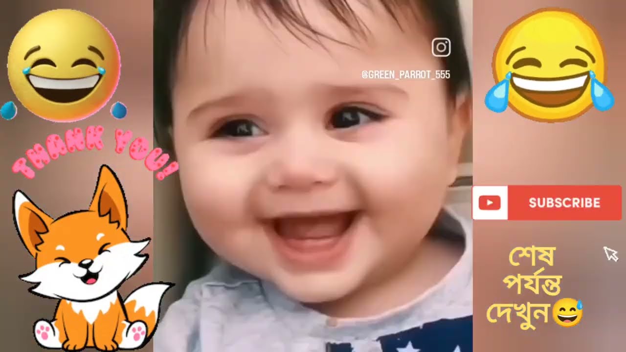 হাসি থামানো দায়! 😂 কিউট এবং অদ্ভুত পশু-পাখির কাণ্ডকারখানা | Funny Animals 2026