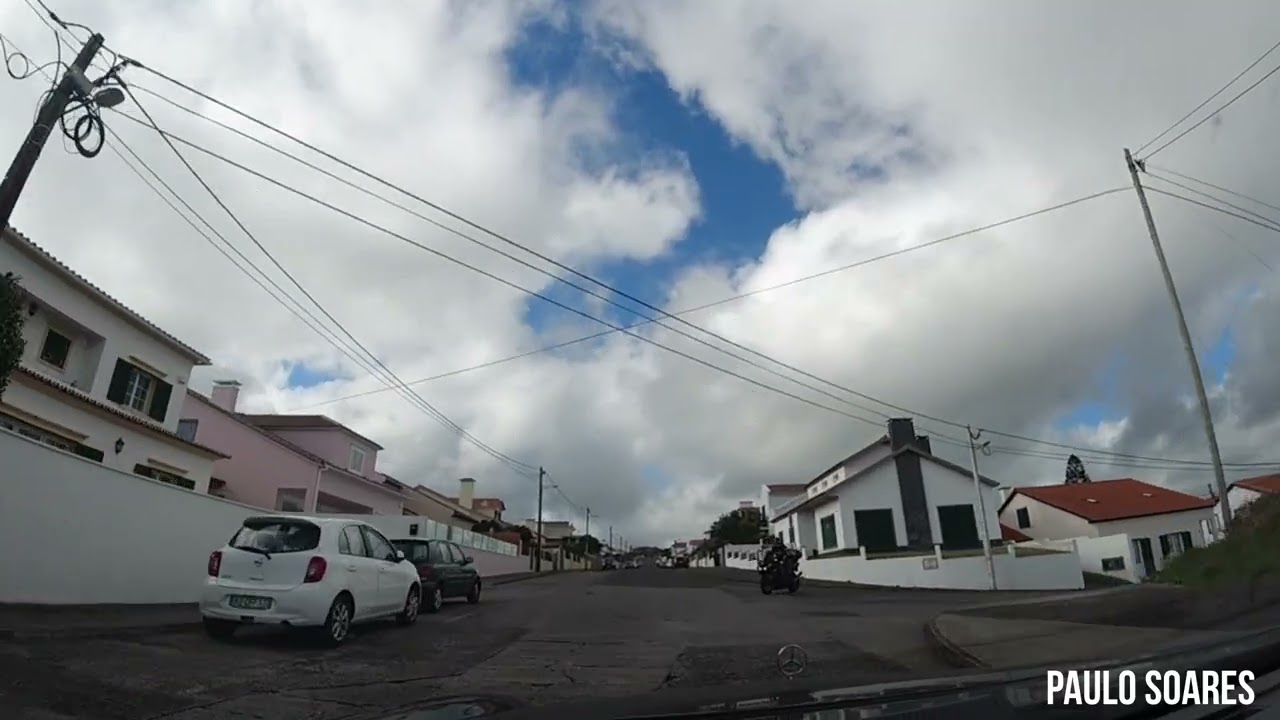 de regrosso ao meu lar, feteiras