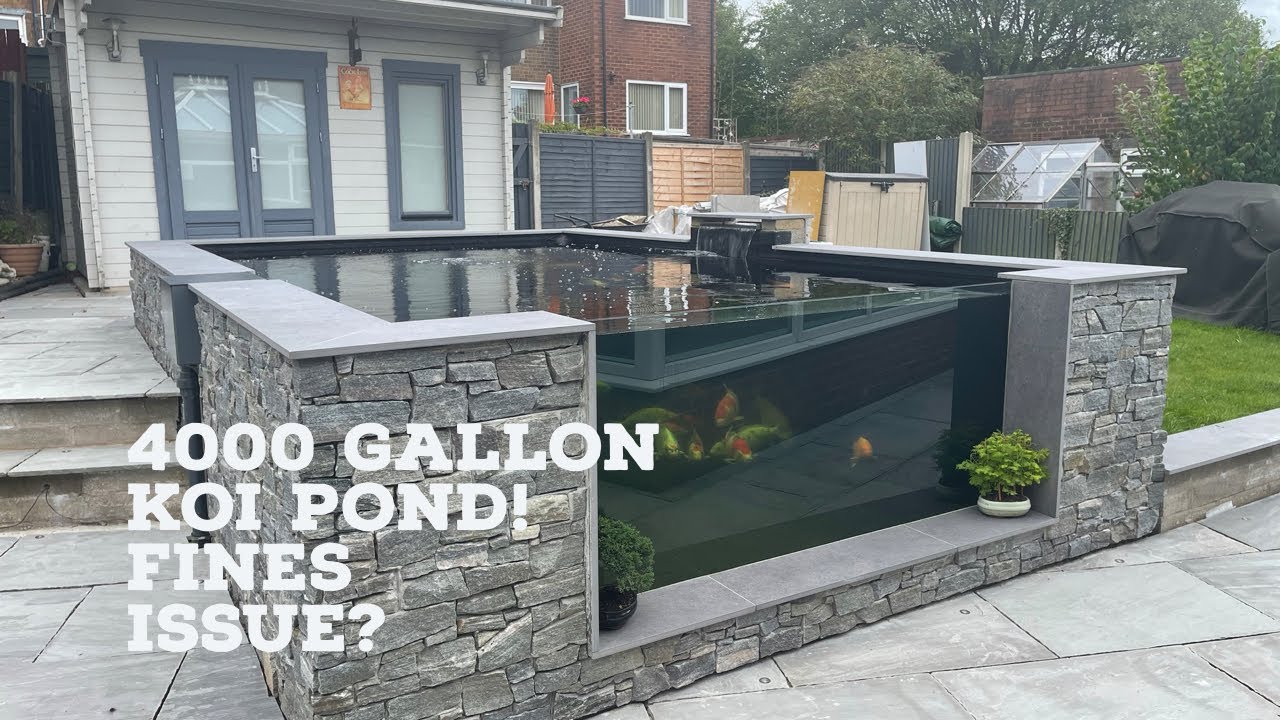 4000 GALLON KOI POND - FINE ISSUES SOLVED!