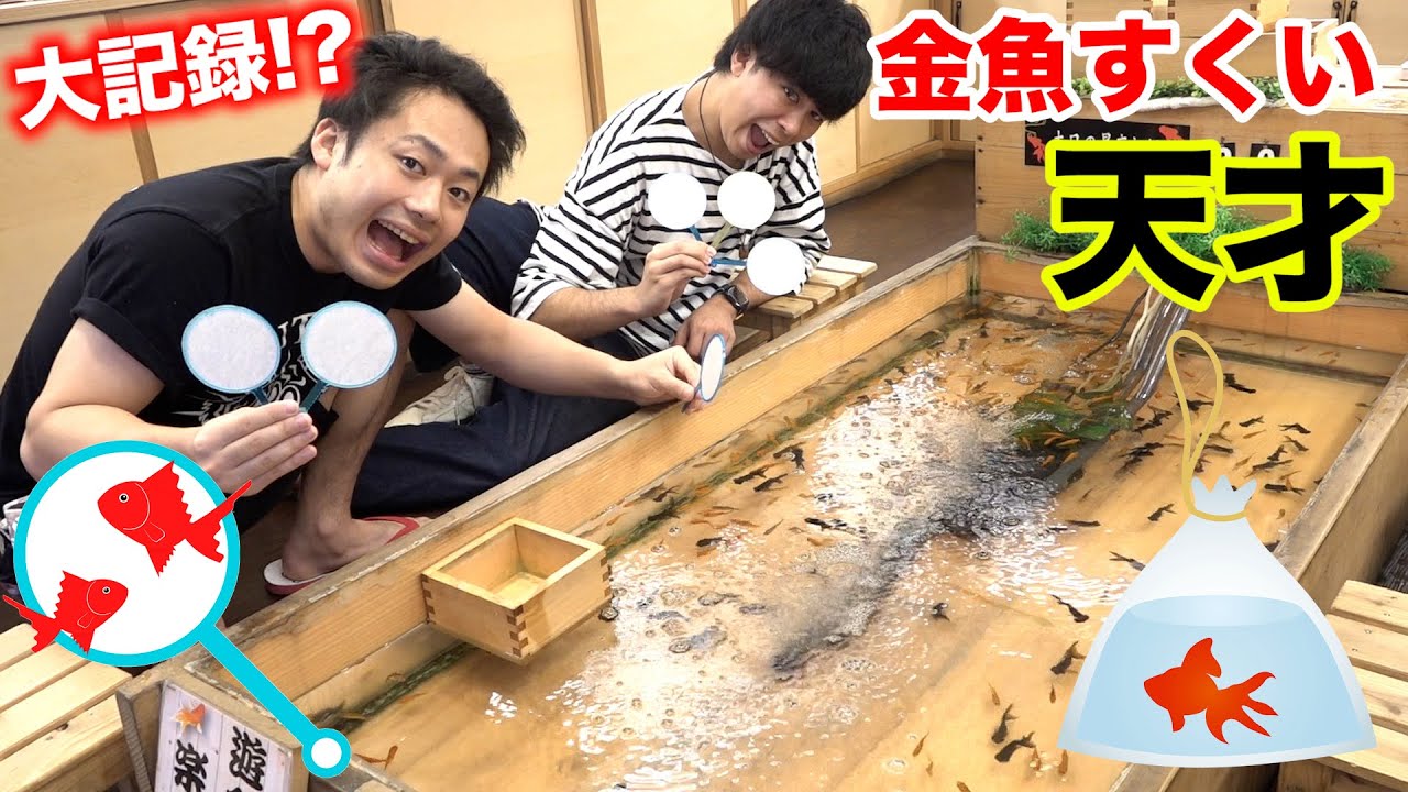 【天才】金魚すくい初心者は1日でどこまで上手くなるかやってみたらプロ顔負けになった！？