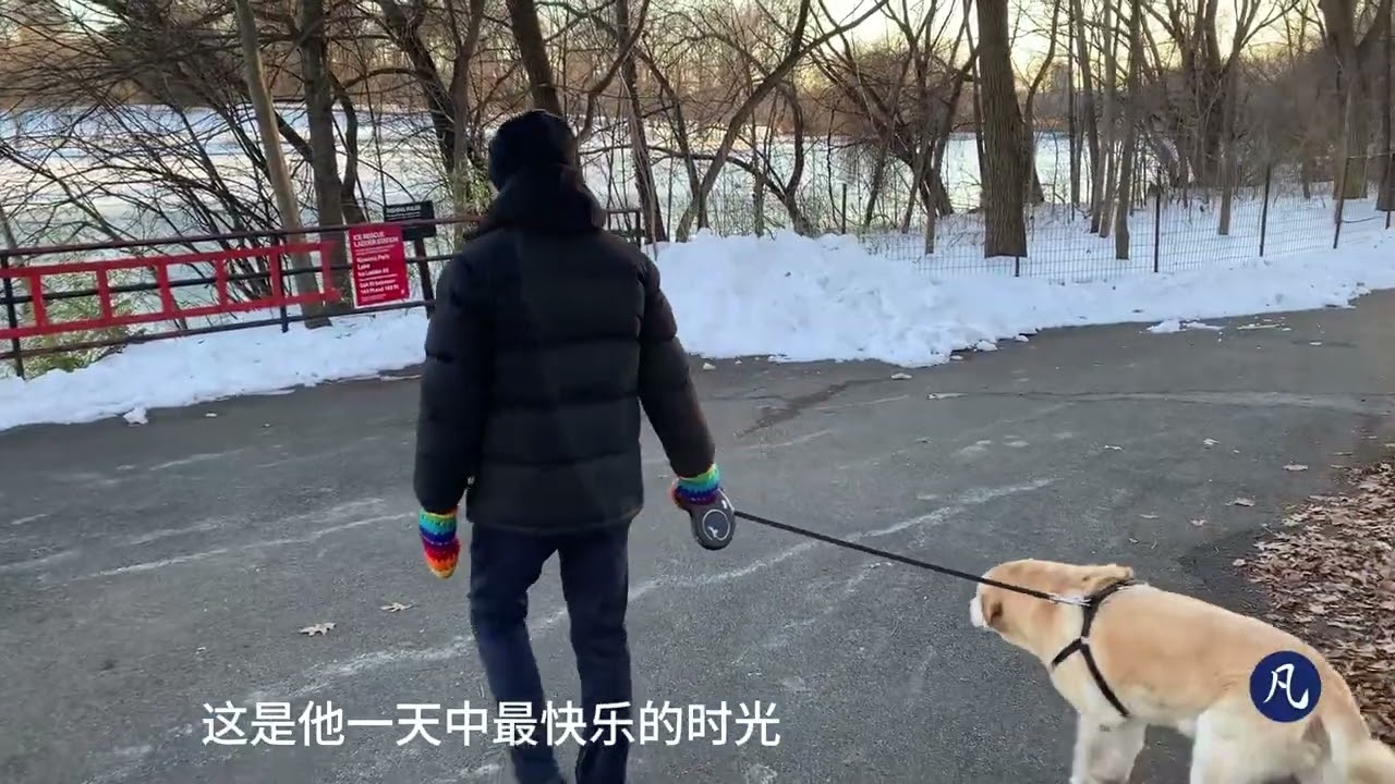 和狗在公园走一走