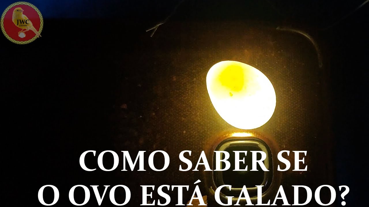 COMO FAZER OVOSCOPIA? Tivemos muitos filhotes esse ano?