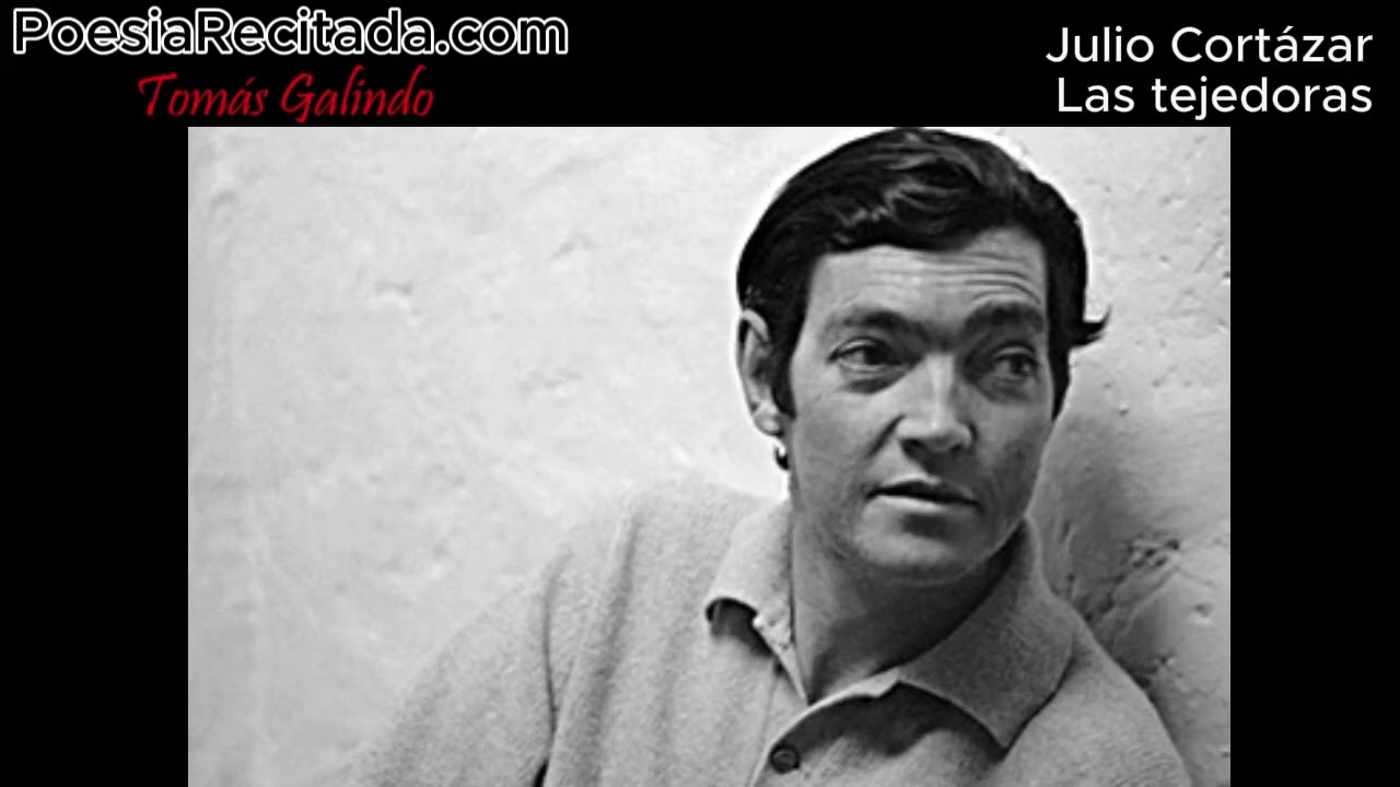 Julio Cortázar - Las tejedoras