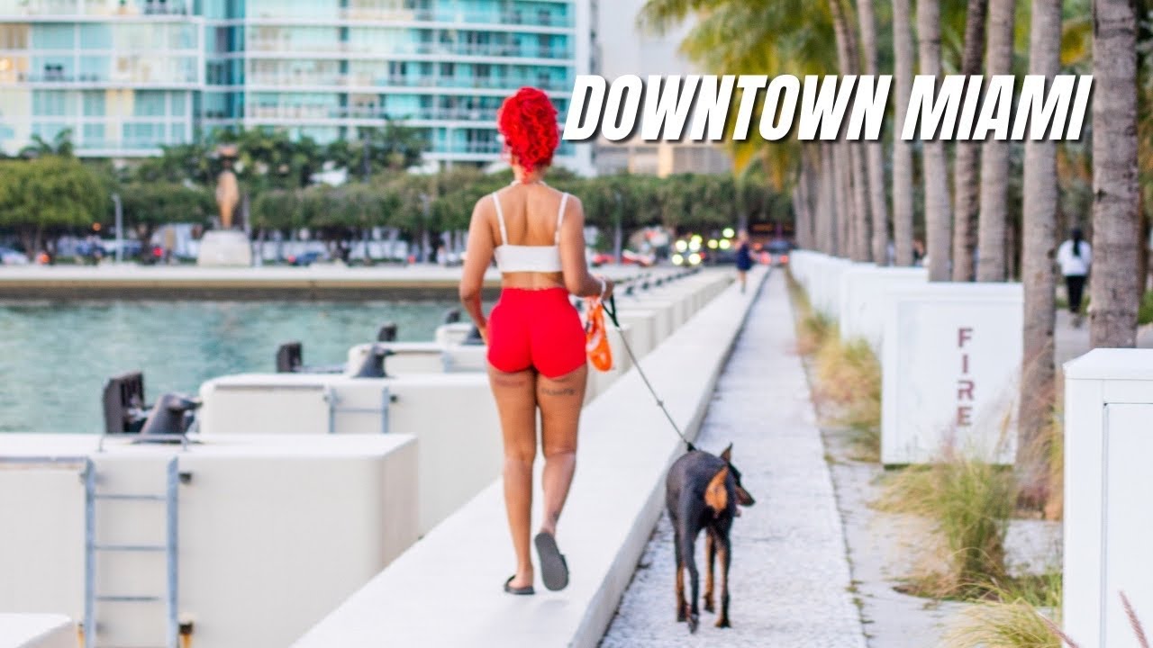 A Day of Street Photography (POV) DOWNTOWN MIAMI Part 2 | Bayside to Maurice A. Ferré Park