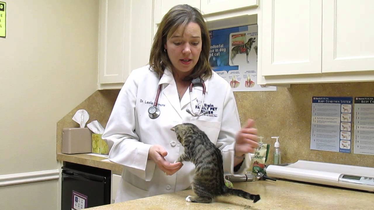 Dr. Sirmons