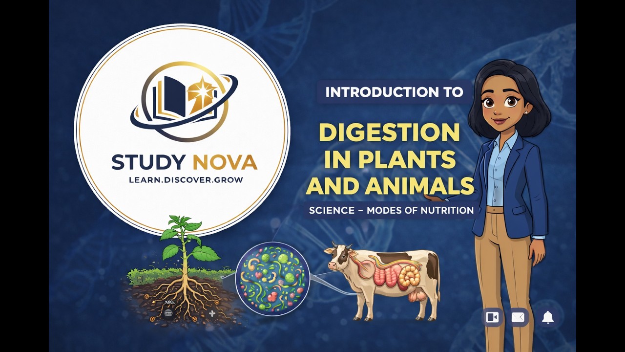 Digestion In Plants And Animals