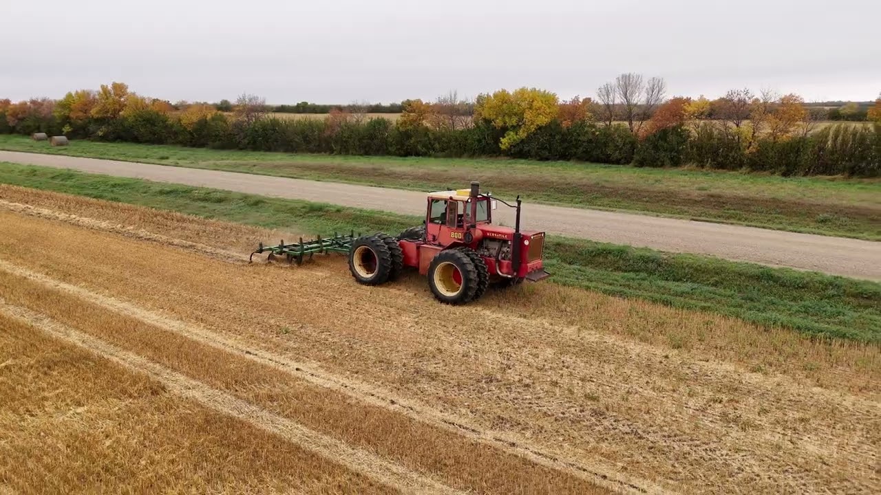 Combining our best field and The Versatile 800 in 4K