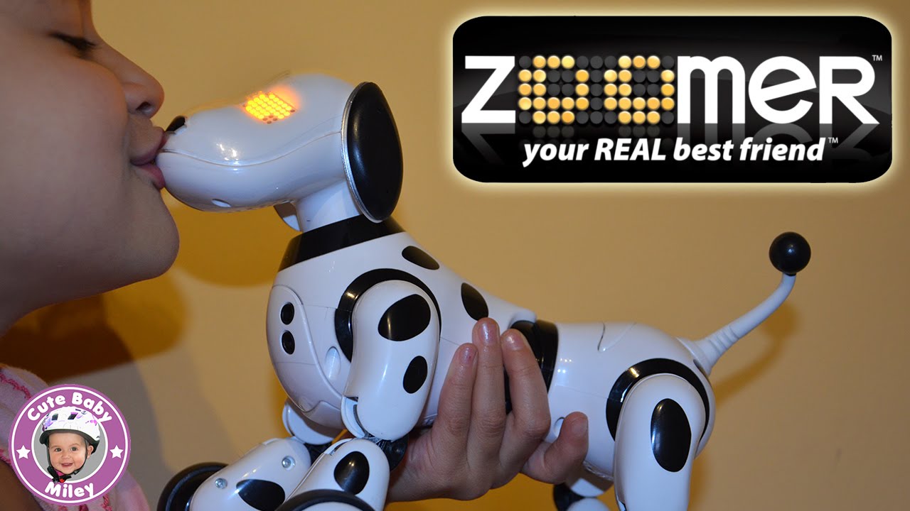 Zoomer Dog test and review - Wir testen den Zoomer Hund