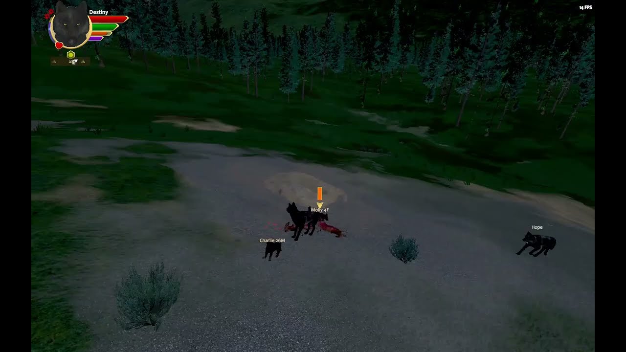 Leaving for the rendezvous site.{Destinys Quest}~Lotus Moon gen 4 Pack~ #wolfquest3 #5