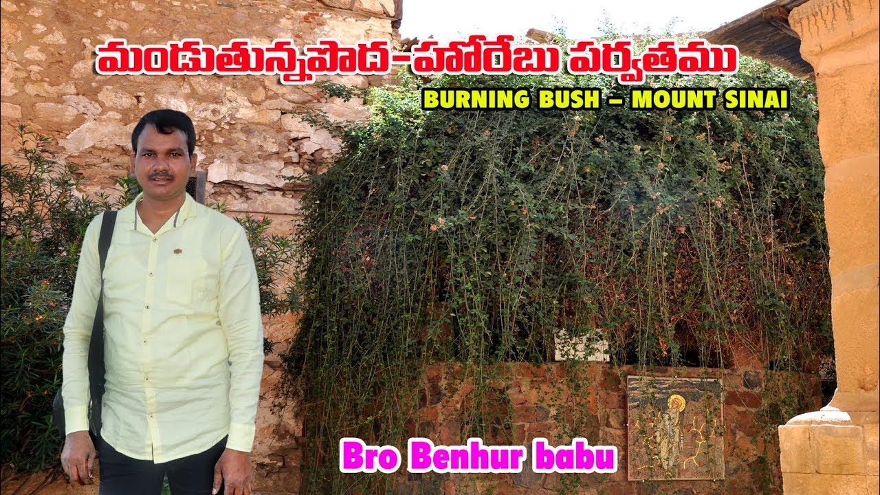 మండుతున్న పొద/Jerusalem tour Telugu/holy land tour in telugu/Israel tour Telugu