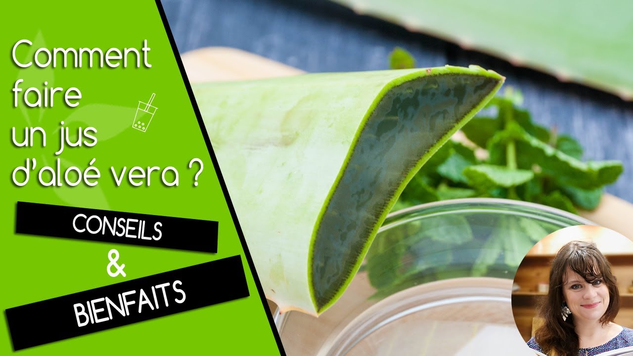 Jus d'aloé vera bienfaits et conseils - Cuisine Saine