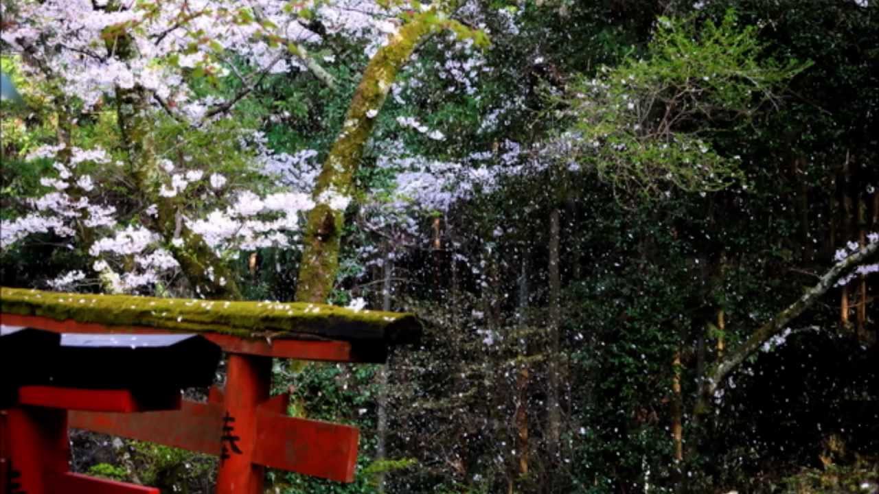 杜の鼓動　第４楽章「桜の風景」「Scenery of Cherry Blossoms」 Forest Beats 4th Mov
