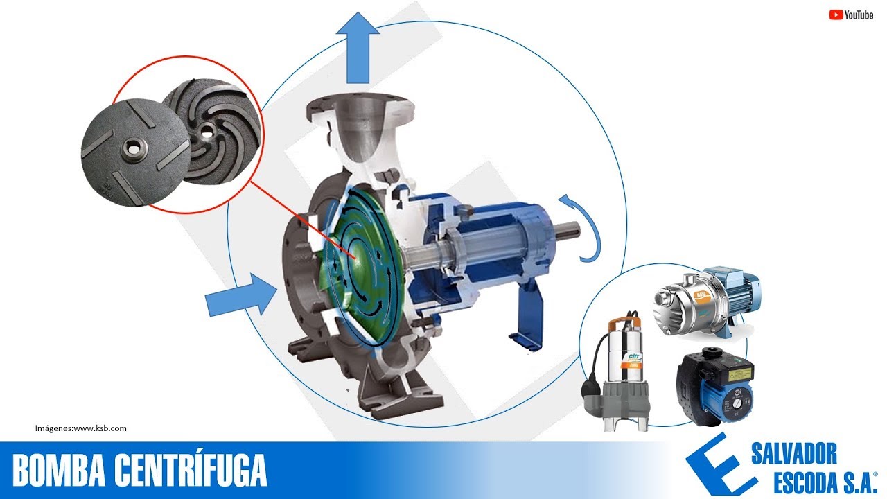 Curso Bombas de Agua | SALVADOR ESCODA S.A.