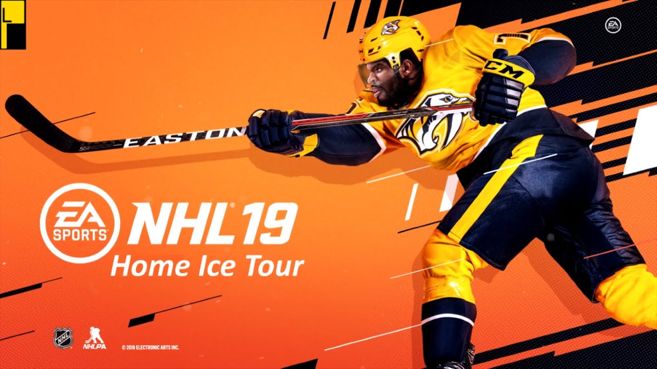 NHL 19 | Sports Game Arenas and All Team Intros 🏟 🏒