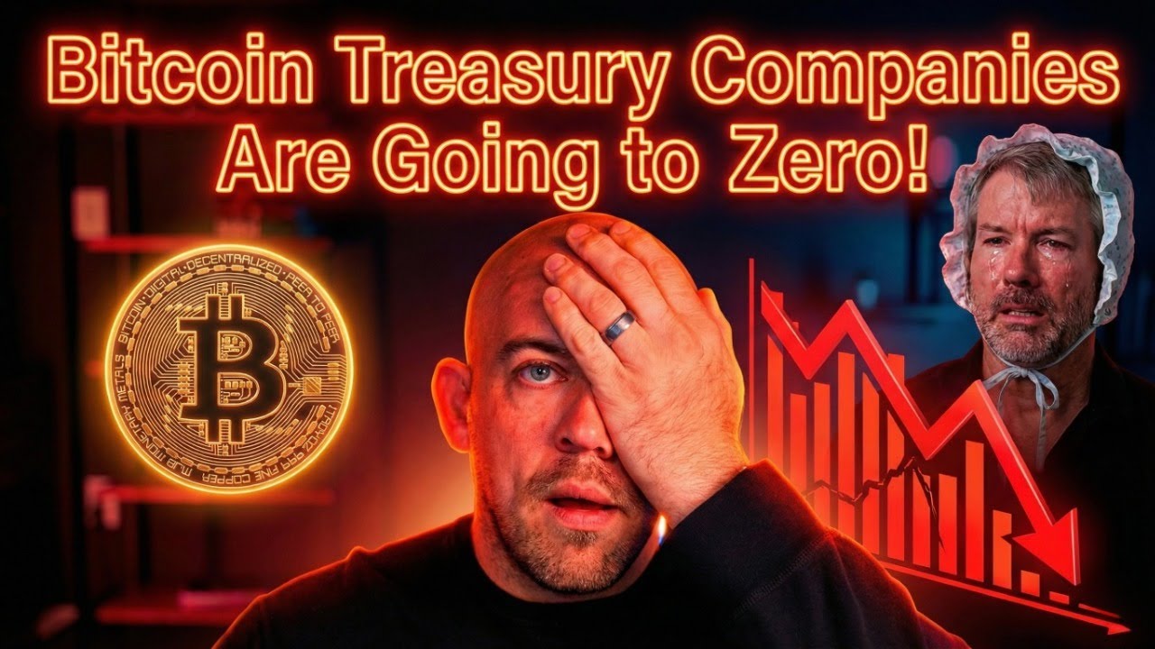 Bitcoin Treasury Companies Are Going to Zero!