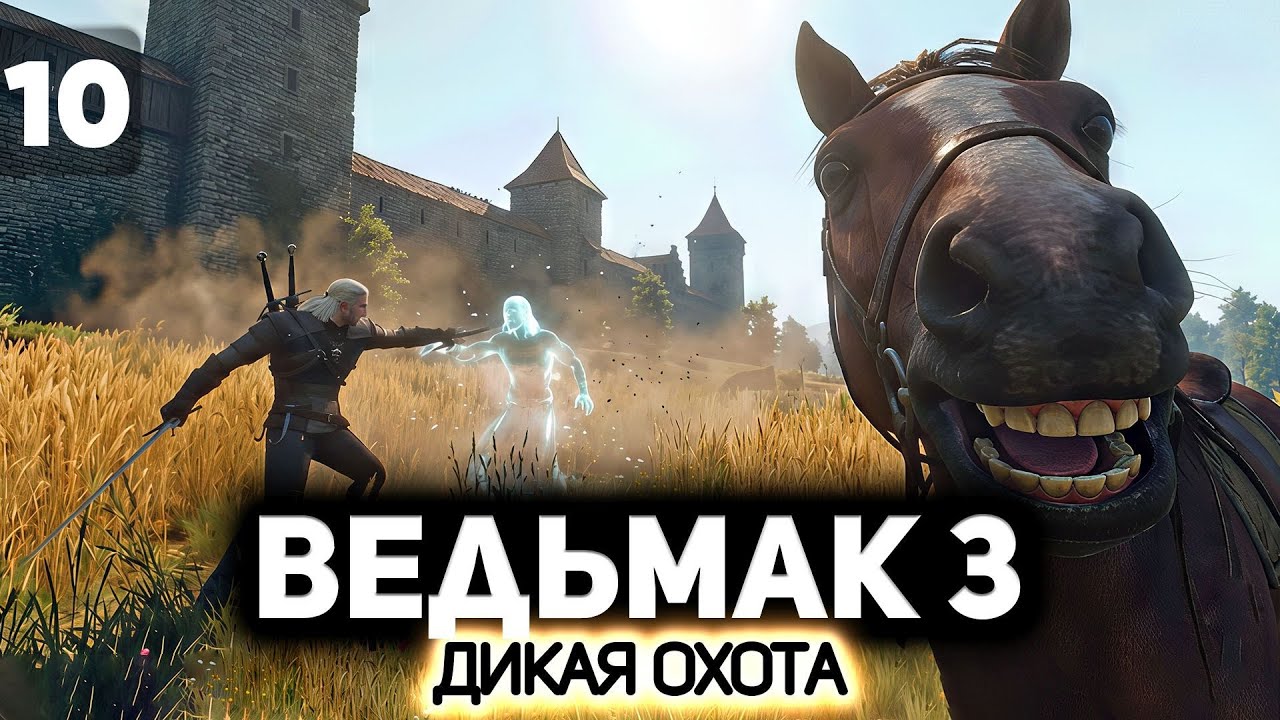 Допы. Сюжет подождёт ⚔️ Ведьмак 3: Дикая Охота [PC 2022] #10