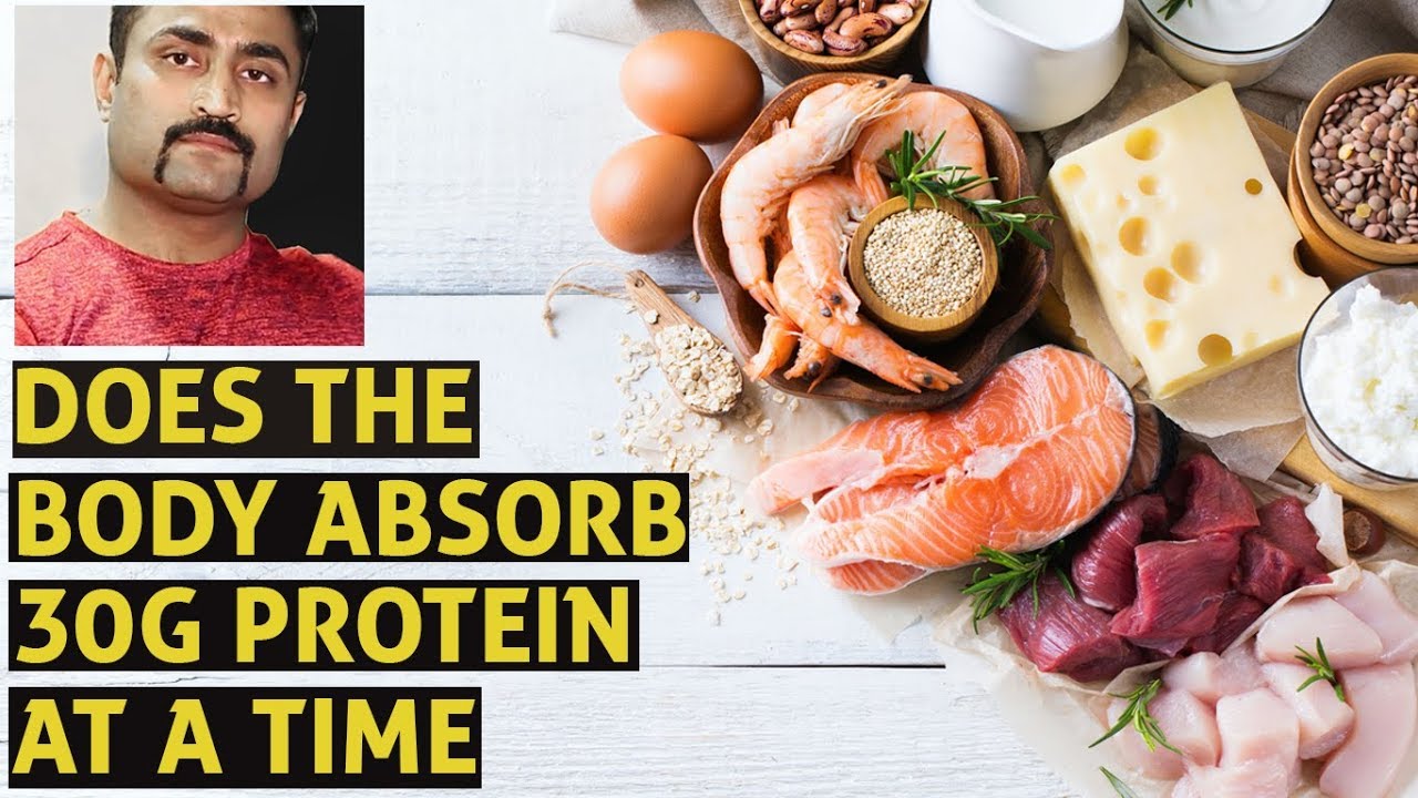 DOES THE BODY ABSORB 30G PROTEIN AT A TIME