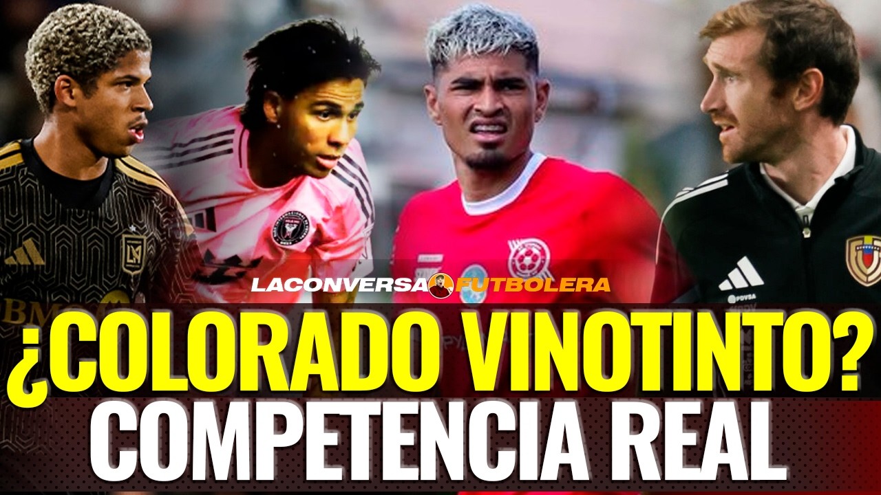 🚀LA RENOVACIÓN VINOTINTO | ARISTEGUIETA VINOTINTO?
