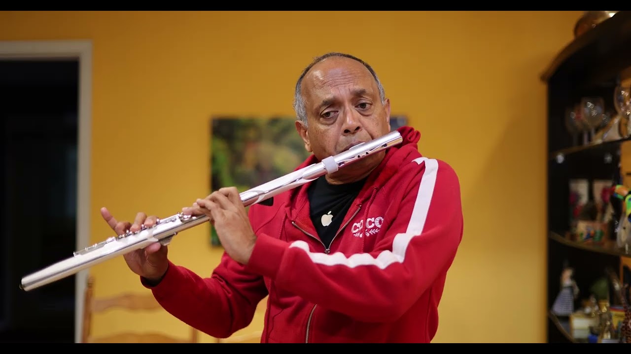 Baahon Mein Chale Aao (Aerophone Brisa Cover -- Flute)