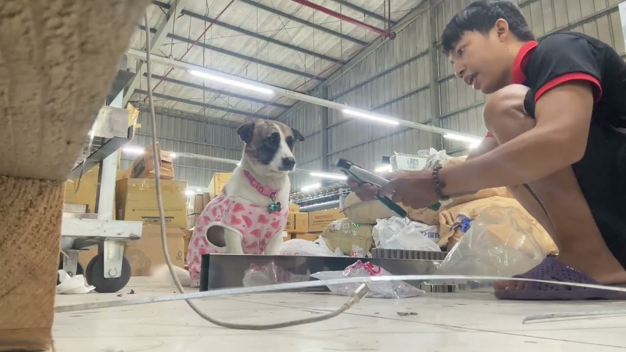 Một ngày làm việc của quản lý Hương 