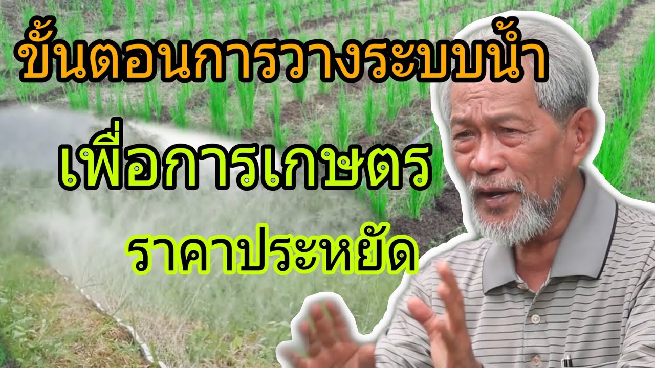 การวางระบบน้ำในนาข้าว ทำนาใช้น้ำน้อย ดร.เกริก มีมุ่งกิจ