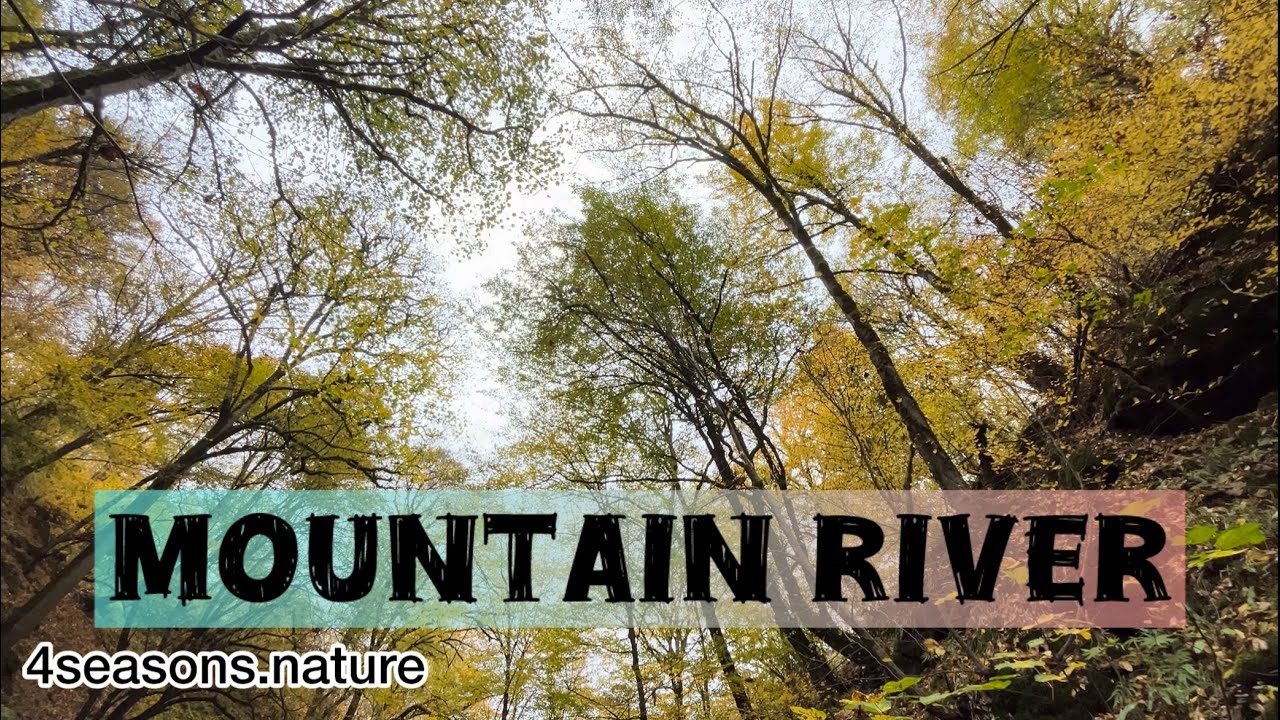 A beautiful video of forested areas,rivers,and mountainous regions#nature #river #forest #mountains 