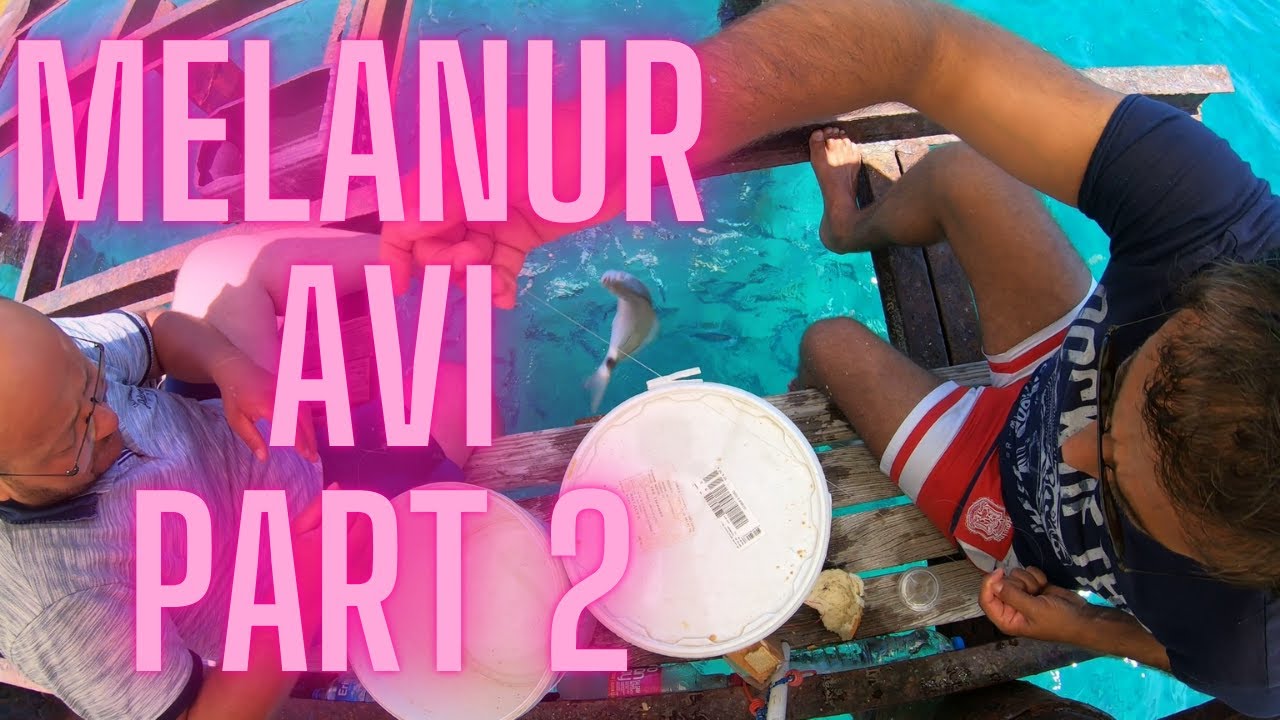Melanur Avı Antalya Part 2 #32