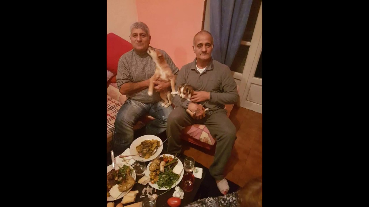 KENGA E QYQES.2017..SPECJALE. PER. CILEN DHE MET ELBASANIN