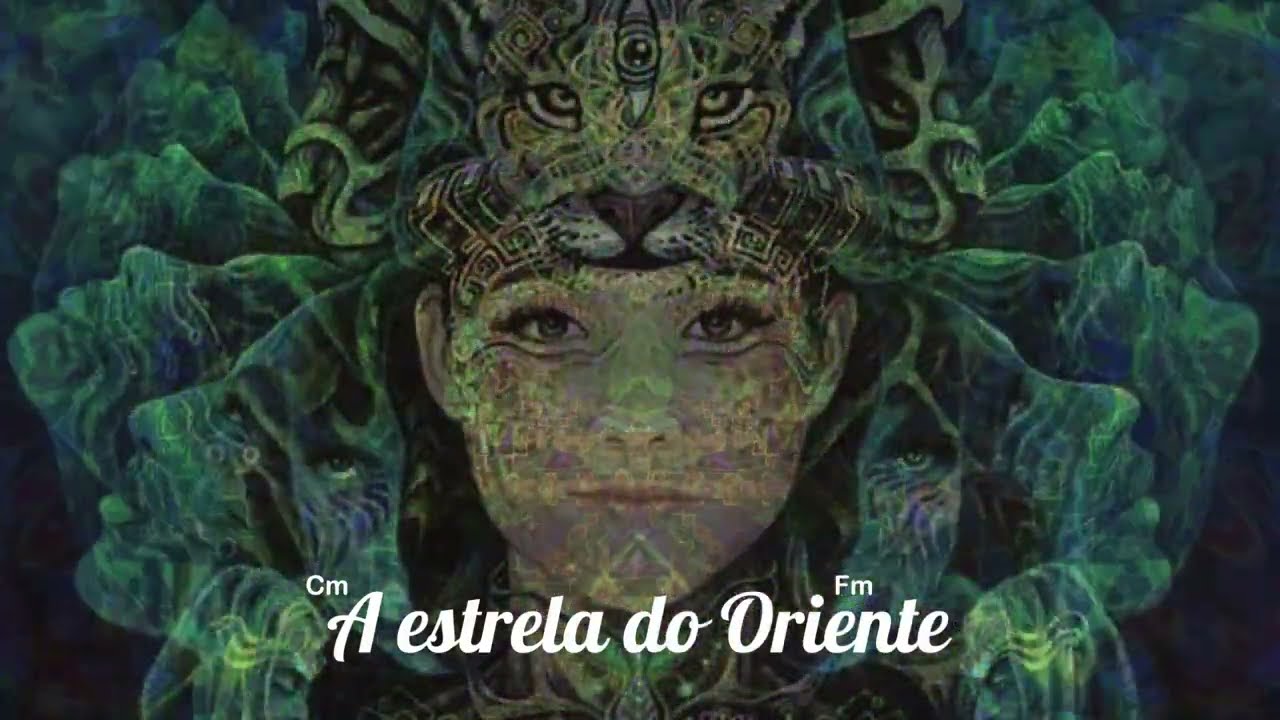 🎼 Viva na Floresta ⭐ Bettina Maureenji 🍃 Medicine Music