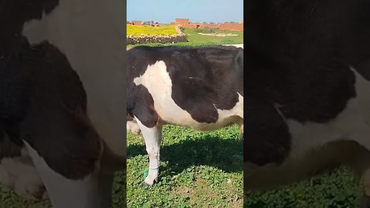 10 مارس 2026