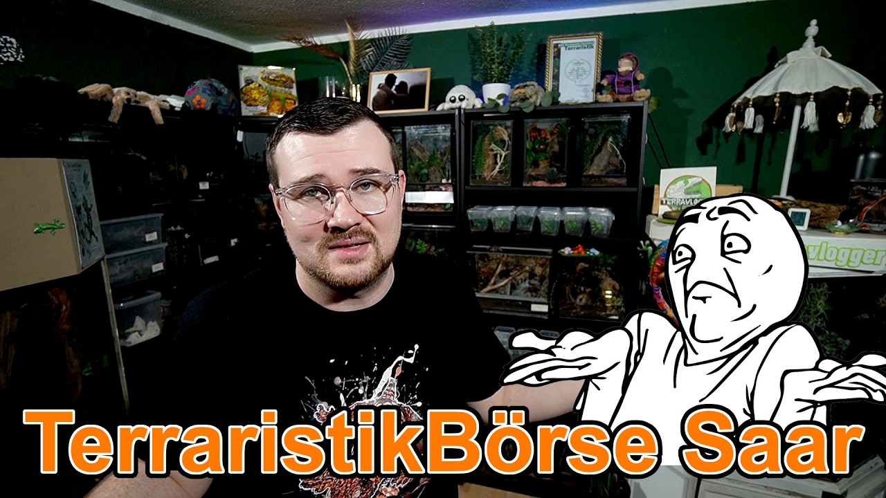 Saar Terrarium Fair - How was the fair? | What did you bring?
