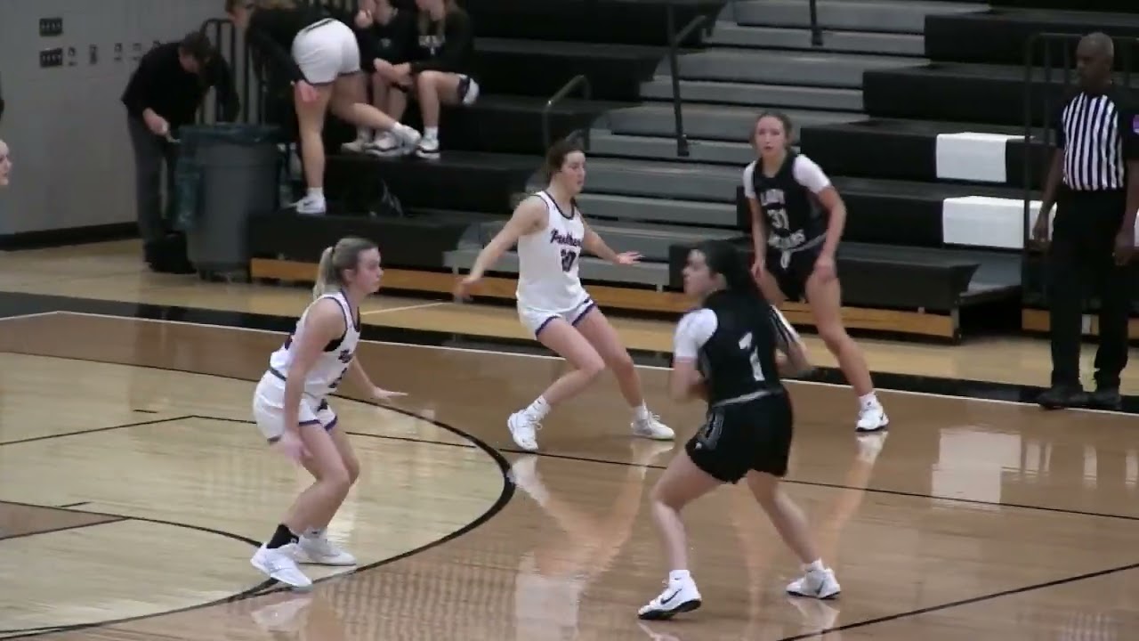 Blue Eye Bulldog GBB 37 - Forsyth 36
