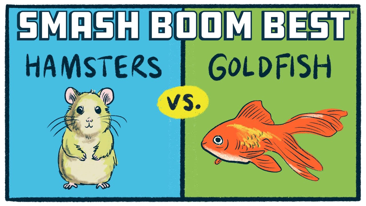 Smash Boom Best LIVE  | Hamsters vs. Goldfish | An Award-Winning Debate Show for Kids