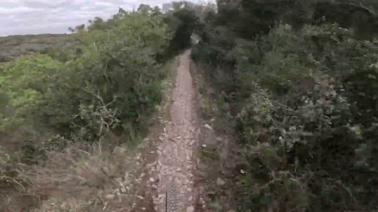 Full run SANGLIER  🐗💨#mtb #amtb #vtt #gardiole #bike #moto #shorts #longvideo #gopro #hero13 