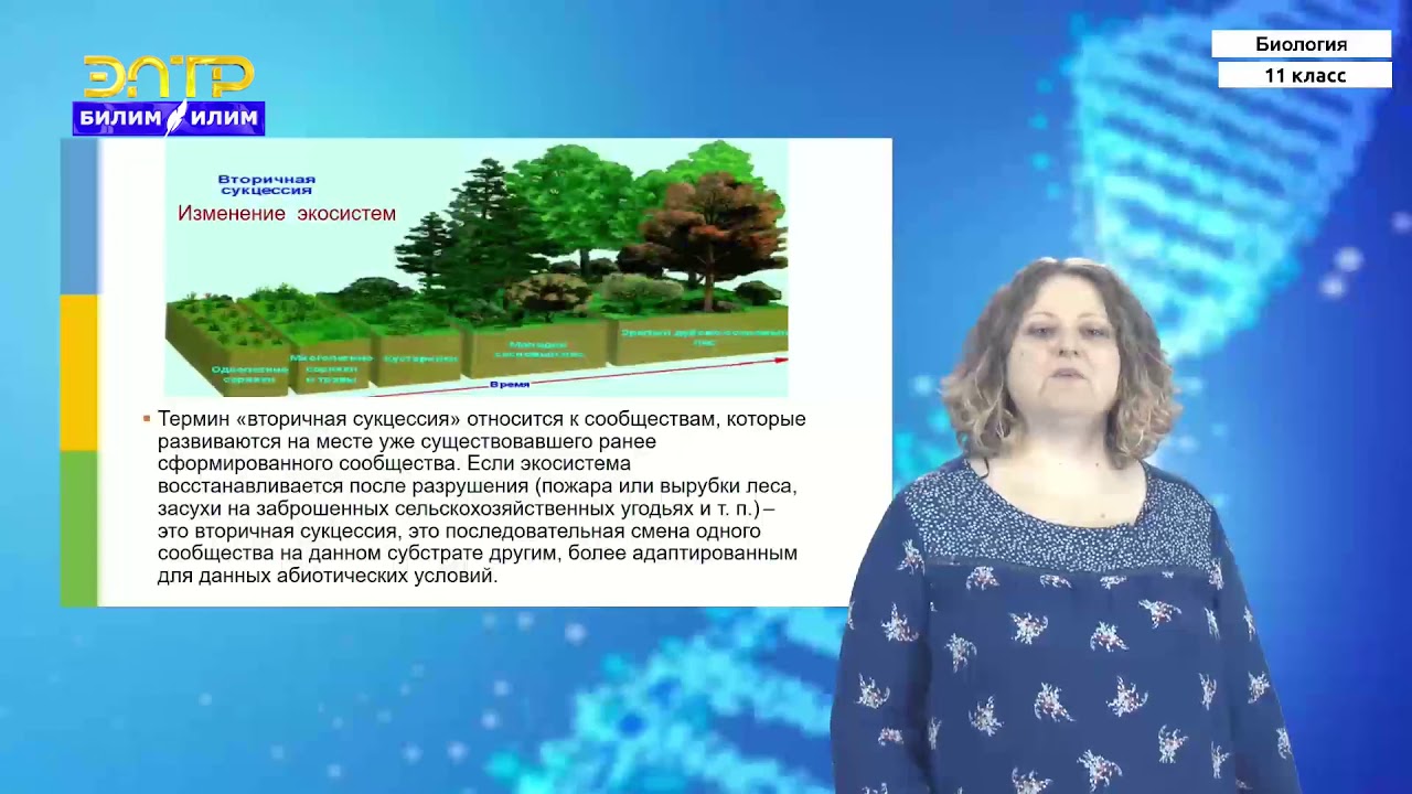 11-класс | Биология  | Развитие и смена экосистем. Сукцессия. Задачи современной экологии