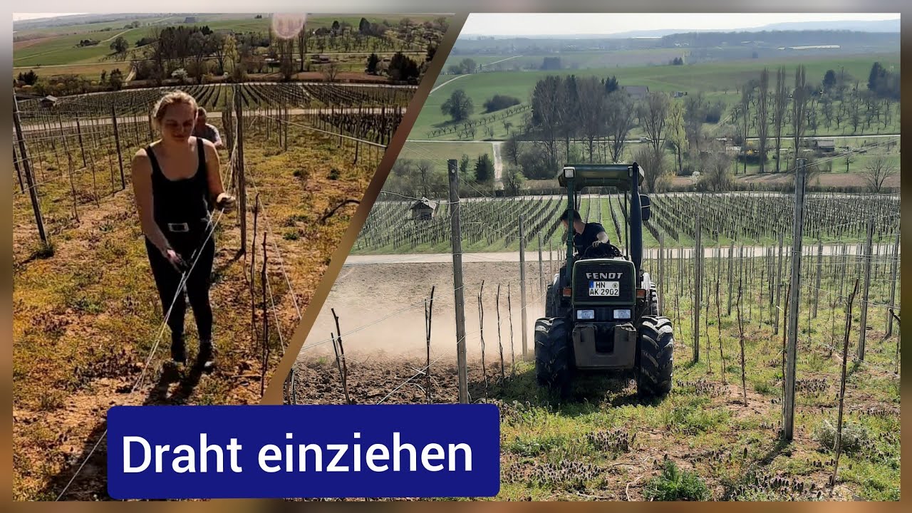 FarmVLOG#69 - Weinberg kreiseln und Draht einziehen