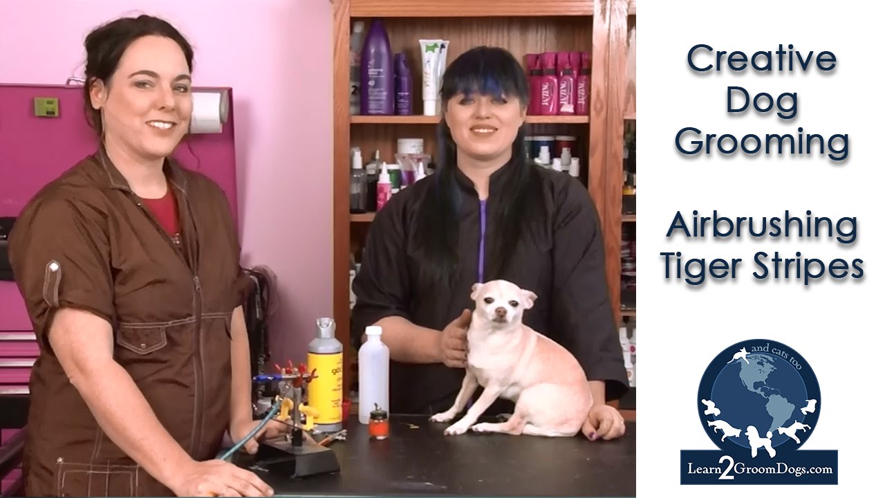 Creative Dog Grooming - Airbrushing Tiger Stripes