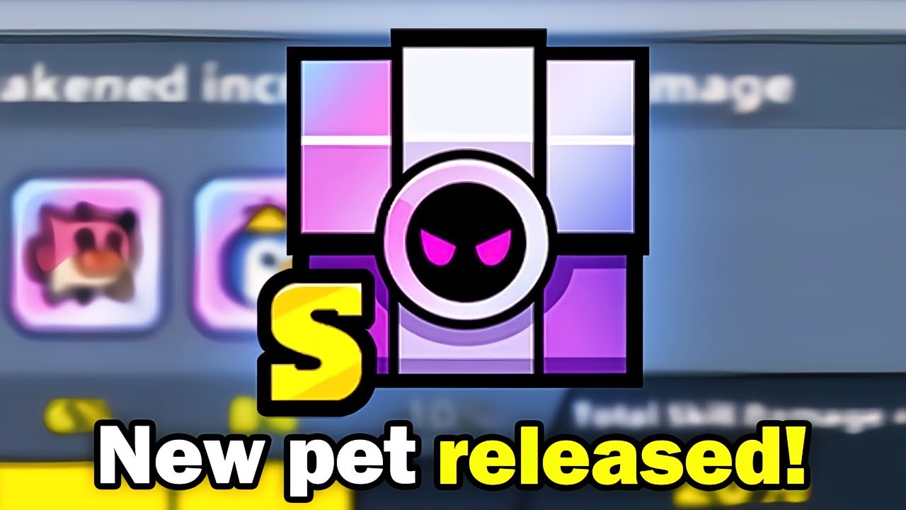 Даты выхода новых питомцев S-Pet 
