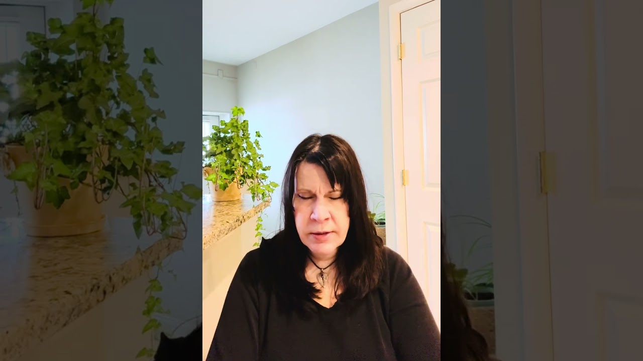 COUNCIL OF INTERGALACTIC BEINGS - channeled message 2/23/2026￼