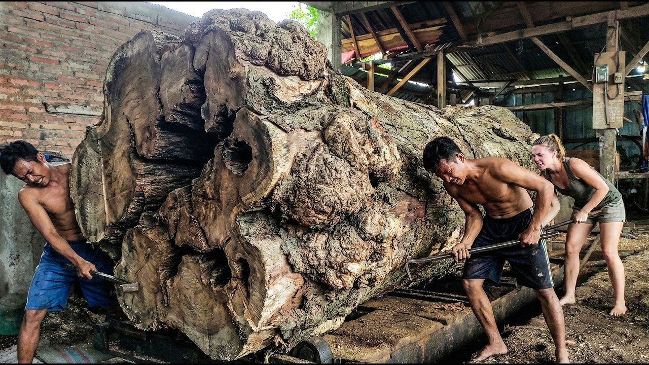 How Sawmills Turn Giant Trees into Usable Lumber