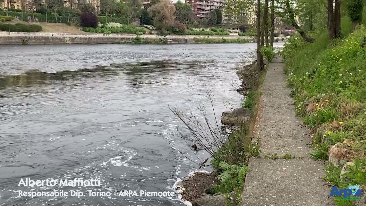 Fiume Po P.zza Vittorio - Torino  22 aprile 2021