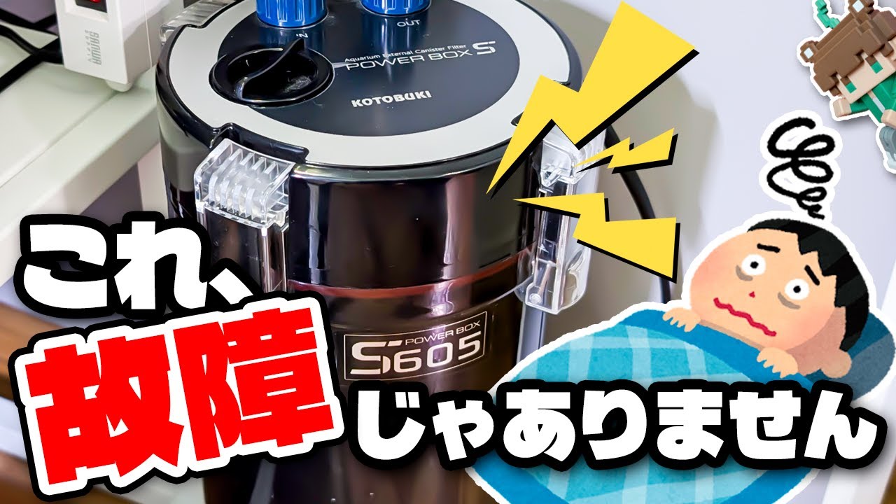【外部フィルター異音】うるさくて眠れない夜に。簡単に直る解消法と正しいメンテナンス【コトブキパワーボックスS605/S453】【ビバアクア】#アクアリウム #熱帯魚