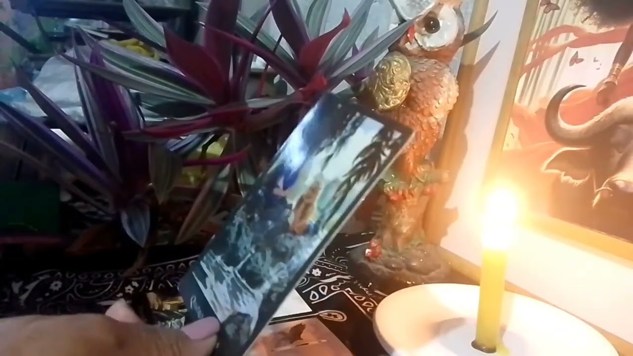 Aquário ,  vc precisa tomar uma decisão,  ficar com o novo, ou perdoar o passado.