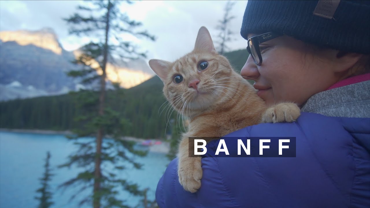 Гори та озера Канади. Місто Банфф (Banff) та озеро Морейн (Moraine Lake). Подорож з котом.