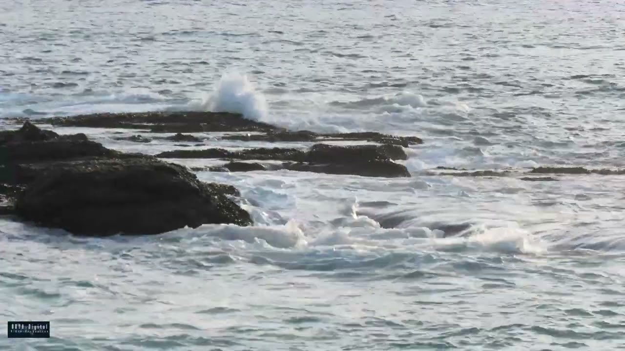 CALM RELAXING MUSIC BY THE BEACH